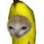 Banana Cat