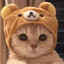 hi