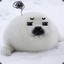 Vincent_tao