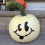 Avatar of player funny pumpkin