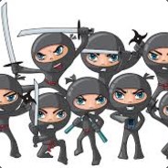 About 30 Ninjas