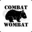Sneaky Wombat