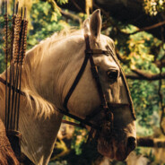 不愿透露姓名的鸽子