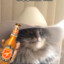 HotRodK
