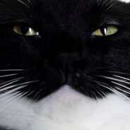 Finlay's avatar