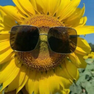 Mr.right - steam id 76561199202496310