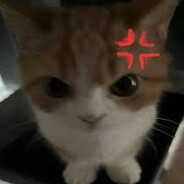 Так  я не понял?!