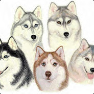 Husky | GER - steam id 76561197960576942
