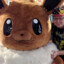 eevee098
