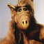 ALF