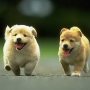 18岁臭脚体育生