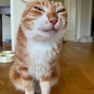 (H2O_Lazz) - steam id 76561199625201562