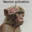 Neuron activation