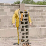 芒果口味的芒果