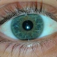 iksjanumaz - steam id 76561197970988319