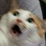 Кабаны сила