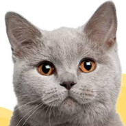 Mutagen Мяумяумяу