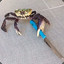 Commando Crab
