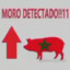 morodetectado✮