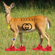 RehFlex avatar