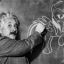 Albert Einstein (brony)