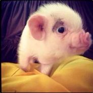 人潮拥挤我能感觉你