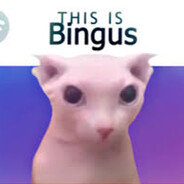 BINGUS SCHMUNGUS THE 3RD