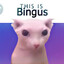 BINGUS SCHMUNGUS THE 3RD