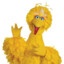 Big Bird