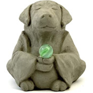 budda dog