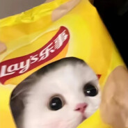 卡了电竞魔王护陈兴裕