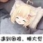 醉卧美人兮l