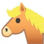 赛马冠军(责任)(top8)