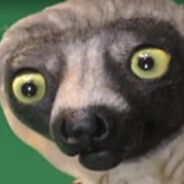 mbgp