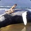 Whalesex