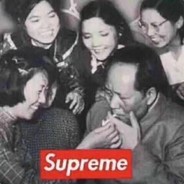 爱洗澡的猫老板