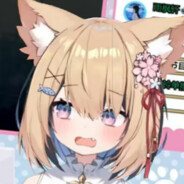 我是傻逼二次元