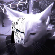ꨄ𝔜𝔲𝔧𝔍𝔫ꨄ