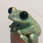 frog