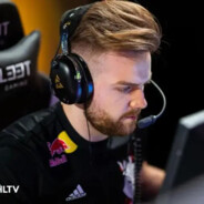 只会一点点沙鹰