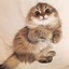 PeacfulCoco