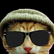 پیشی بازی قوش