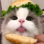 摸鱼