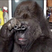 水枪装尿滋谁谁叫