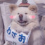 溯源零OLVIT
