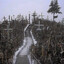 path