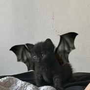 batu