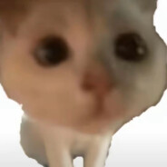 生活需要一点情趣