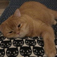 你不要过来啊！