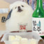 Doge_SoJu